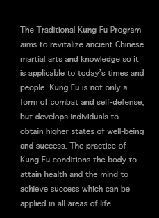 The Traditional Kung Fu Program aims to revitalize ancient Chinese martial arts and knowledge so it is applicable to today’s times and people. Kung Fu is not only a form of combat and self-defense, but develops individuals to obtain higher states of well-being and success. The practice of Kung Fu conditions the body to attain health and the mind to achieve success which can be applied in all areas of life.